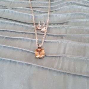 Champagne and silver earrings and necklace set